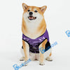 BlueJose Purple Fire Personalized Shirt For Dog