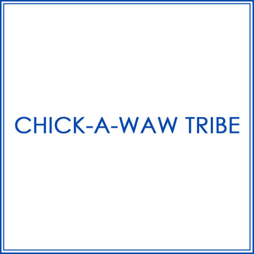 BlueJose Billiards Shirt For Chick-a-waw Tribe Team