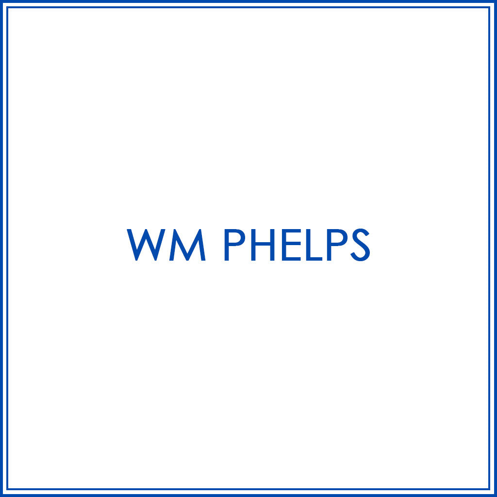 BlueJose Custom Darts Shoes For Wm Phelps